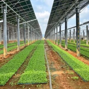 Agrivoltaic Solar Mounting System